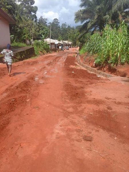THE TONMUKOM - WINDIK ROAD WORK — photograph from the Guneku Fondom archive