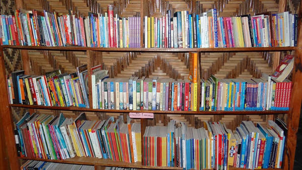 Guneku Royal Community Library — photograph from the Guneku Fondom archive